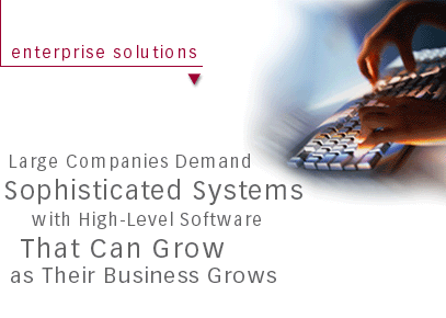 Large companies demand sophisticated systems with high-level software that can grow as their business grows